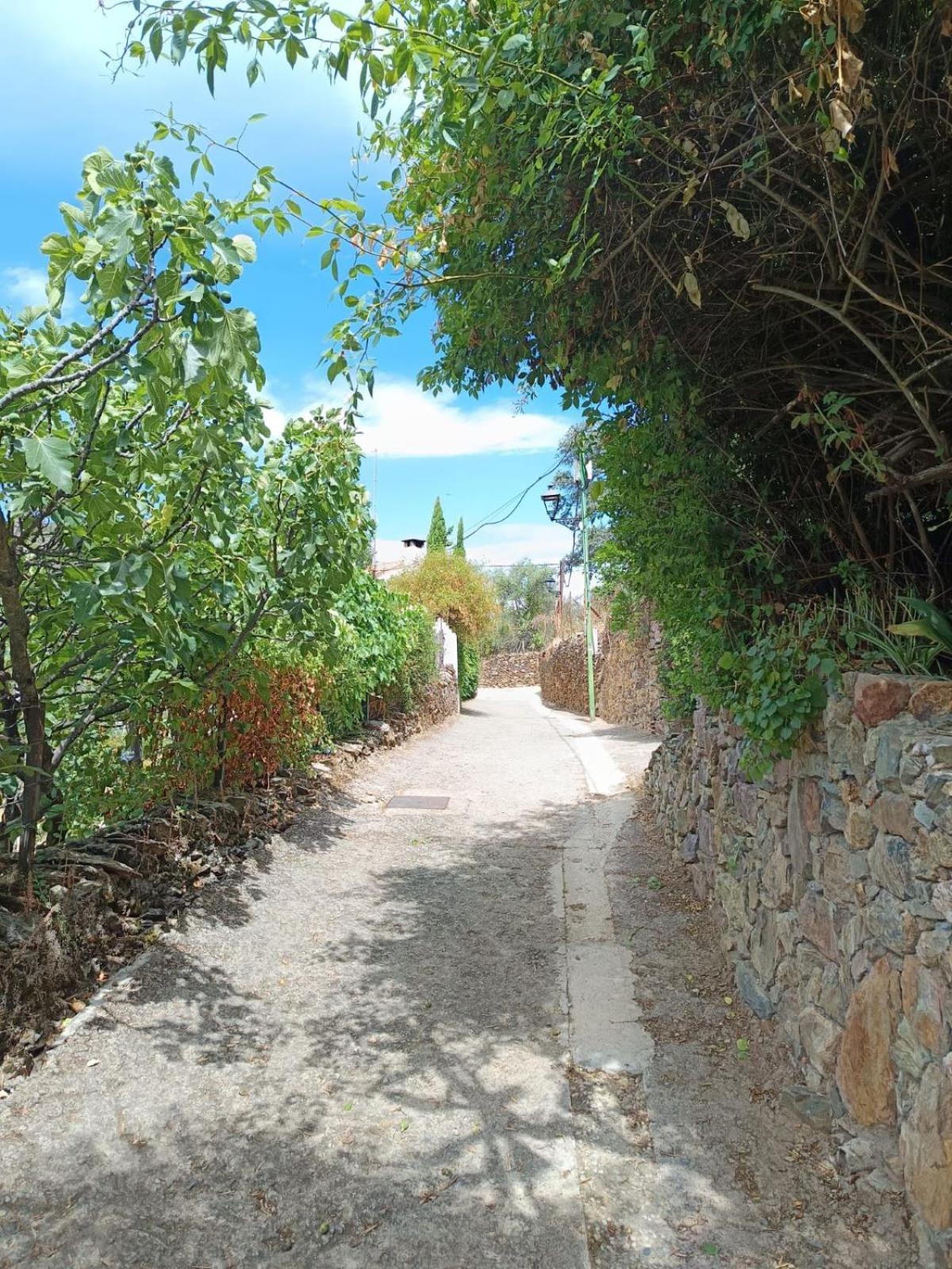 Casa Rural El Olivo Aracena Exterior foto
