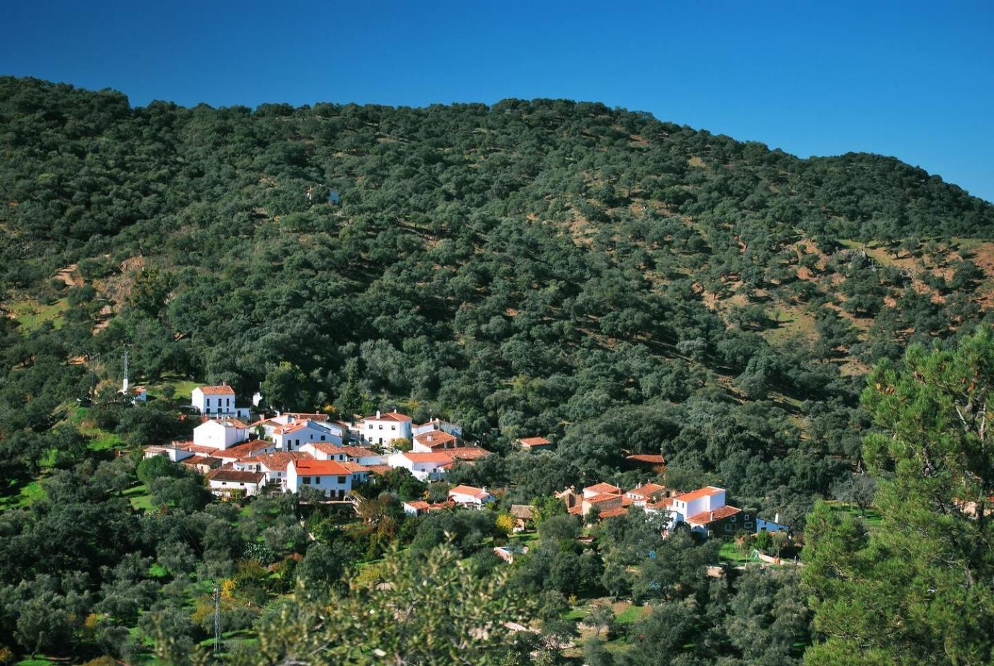 Casa Rural El Olivo Aracena Exterior foto